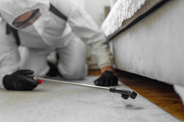 Professional Bed Bug Control technician working in Black Mountain, NC