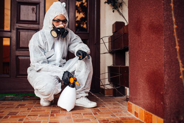 Reliable Bed Bug Control contractor in Black Mountain, NC by Nex Pest Control